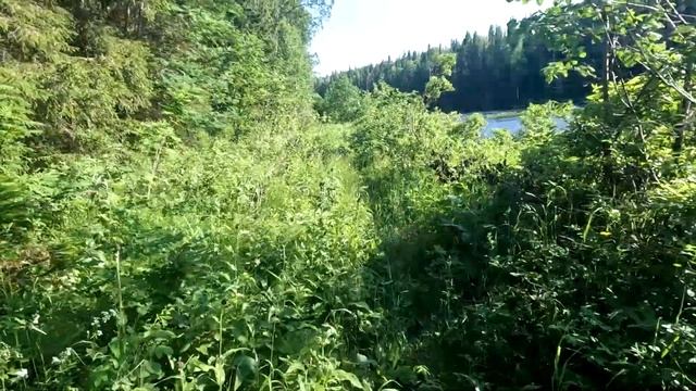 Хариус Июль 2024. смотреть онлайн