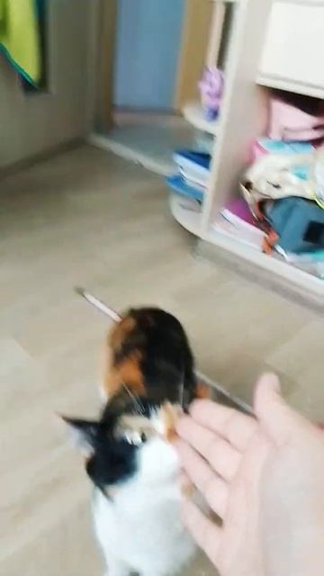 18 июля 2022 г. смотреть онлайн