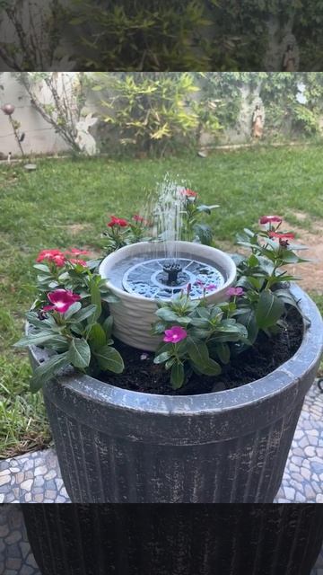 Well-designed solar birdbath fountain #fountain #nature #garden #amazon #relaxing смотреть онлайн