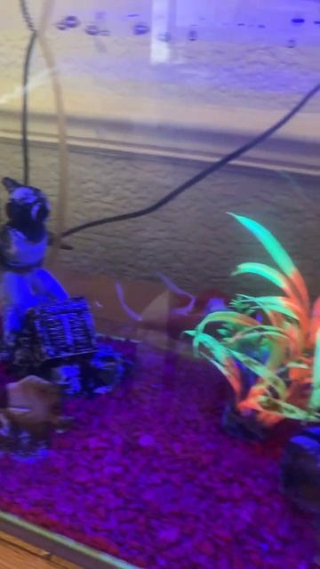 17 July 2024 смотреть онлайн