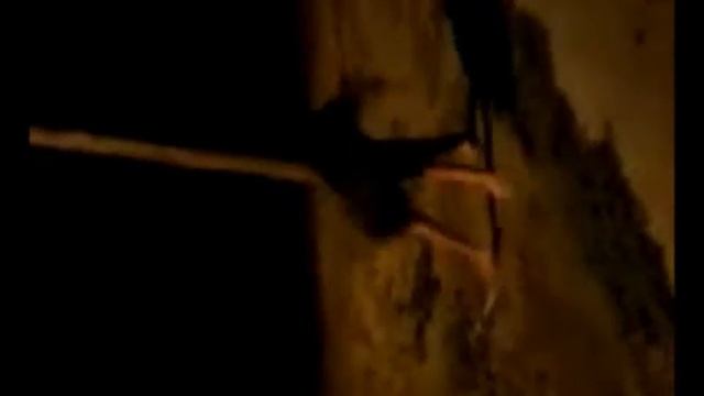 финт прикол смотреть онлайн