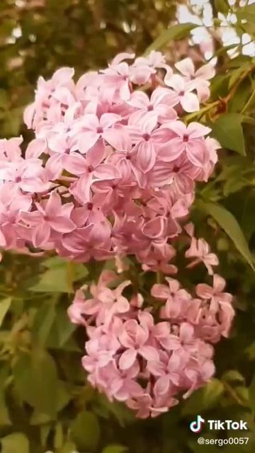 15 апреля 2022 г. смотреть онлайн