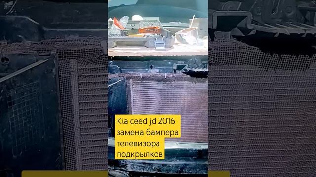 Садовые фейерверки