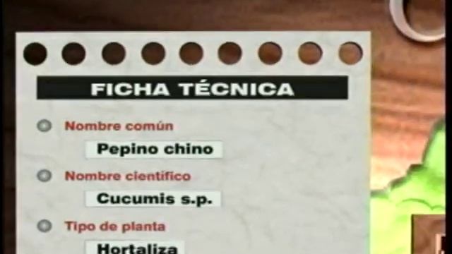 Cultivos Exóticos Alternativa para diversificar la agricultura tradicional смотреть онлайн