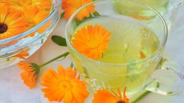 🤹Marigold (Calendula officinalis) medicinal plant and perfect companion for the vegetable garden смотреть онлайн