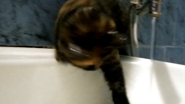 Ржака смотреть онлайн