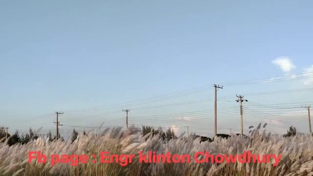 কাশফুল বনে смотреть онлайн