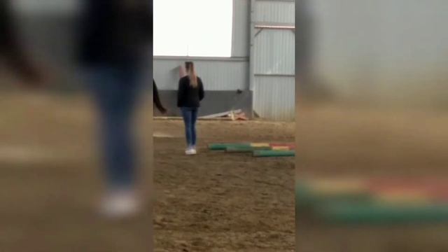 VLOG🐎💞 КСК Вершинино🏇💕 Ривьера 🐴❤ смотреть онлайн
