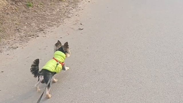 Харьков Салтовка 29 марта 2024 года. Доброе Утро! смотреть онлайн