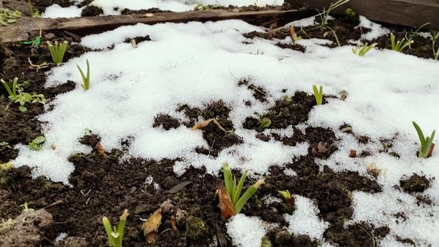 Готовимся к посевному сезону смотреть онлайн