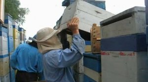 установка ганимановских решеток.avi