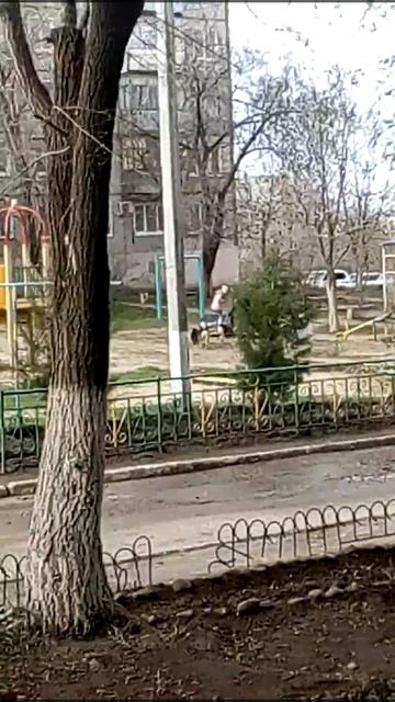 Как на площадке гулять детям если столько собак? смотреть онлайн