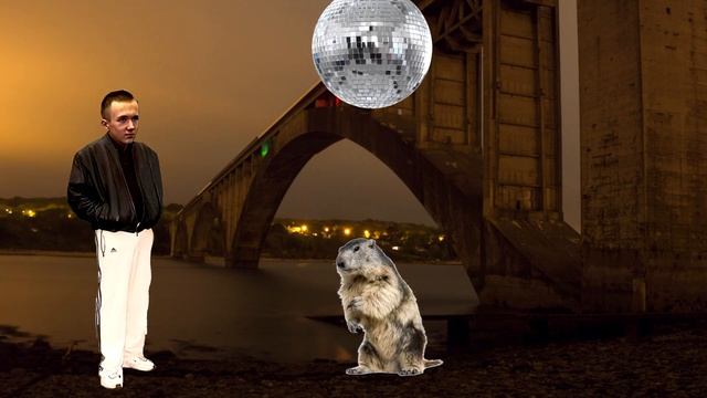 Animal Explorers Society