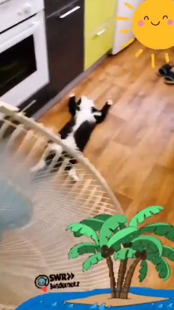 Самый простой способ победить жару! Просто повтори лайфхак 😀 смотреть онлайн