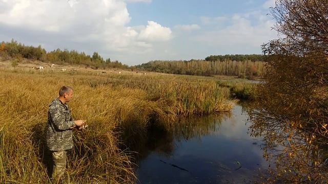 Подільські краєвиди 07.10.2016. смотреть онлайн