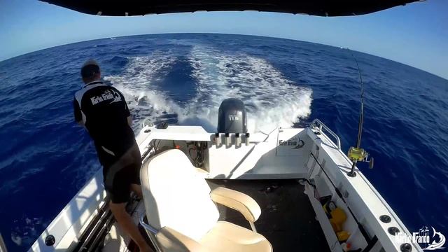 Marlin fishing 21 Oct 2018 - 1-1-0 смотреть онлайн