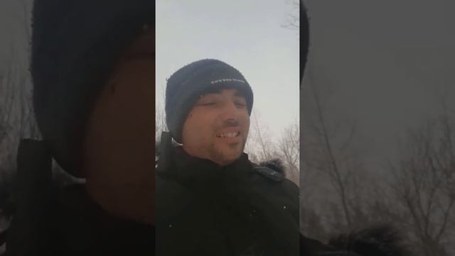 напал дикий кабан(шок видео) смотреть онлайн