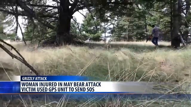 Libby grizzly bear attack spotlights backcountry dangers смотреть онлайн
