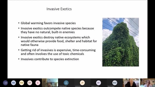 Gardening for Climate Change - North Carolina Wildlife Federation смотреть онлайн