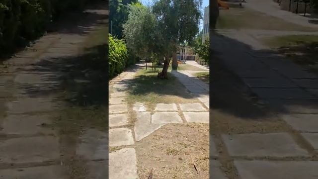 Side Linda Apart