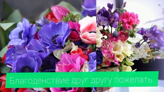 Ассалам алейкум /Assalam Aleikum