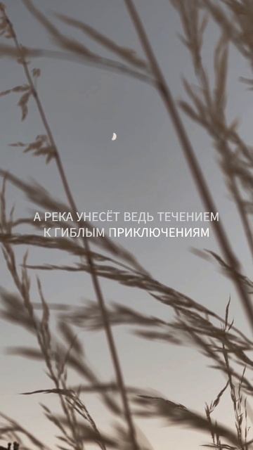Бродяга (remix snippet) смотреть онлайн