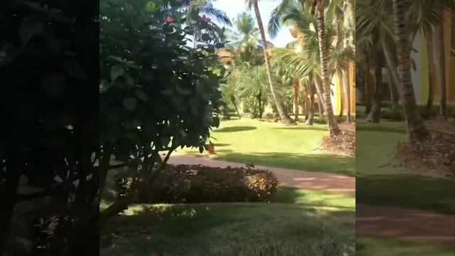 Iberostar Hacienda Dominicus 5* Доминикана