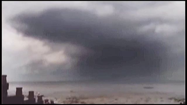 TOP 5 SCARIEST SEA SERPENT THAT CAUGHT ON CAMERA смотреть онлайн