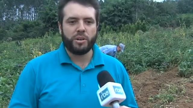 Batata Doce gigante смотреть онлайн