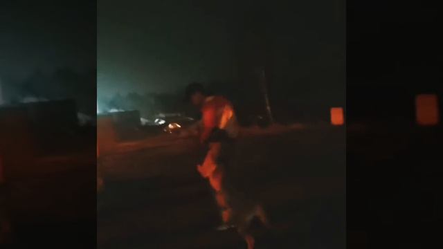 СОБИРАЕМ УДОБНУЮ СОБАКУ смотреть онлайн