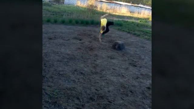 Язь(5) смотреть онлайн