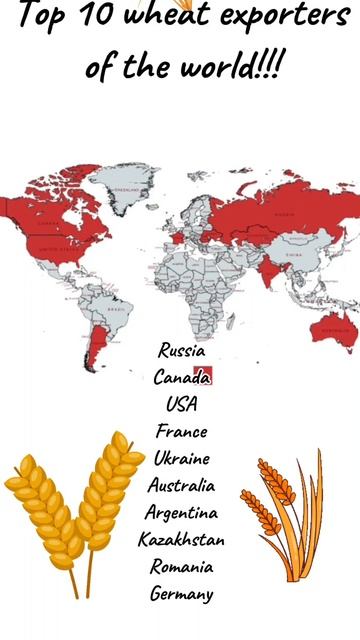 Top 10 wheat exporters of the world! смотреть онлайн