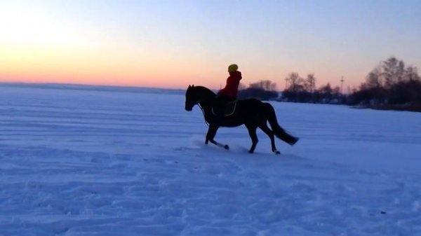 Филателист