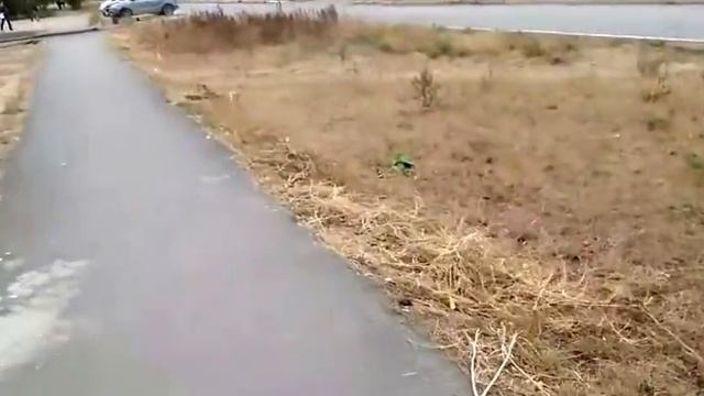 📍ВОЛШЕБСТВО ВО ДВОРЕ📍ВЫВОДЫ ПОСЛЕ ДТП📍МОНЯ ОКАЗАЛСЯ КОШКОЙ💥 смотреть онлайн