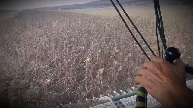 [John Deere 2266extra +Nardi Stormspeed ]уборка подсонух ч.2