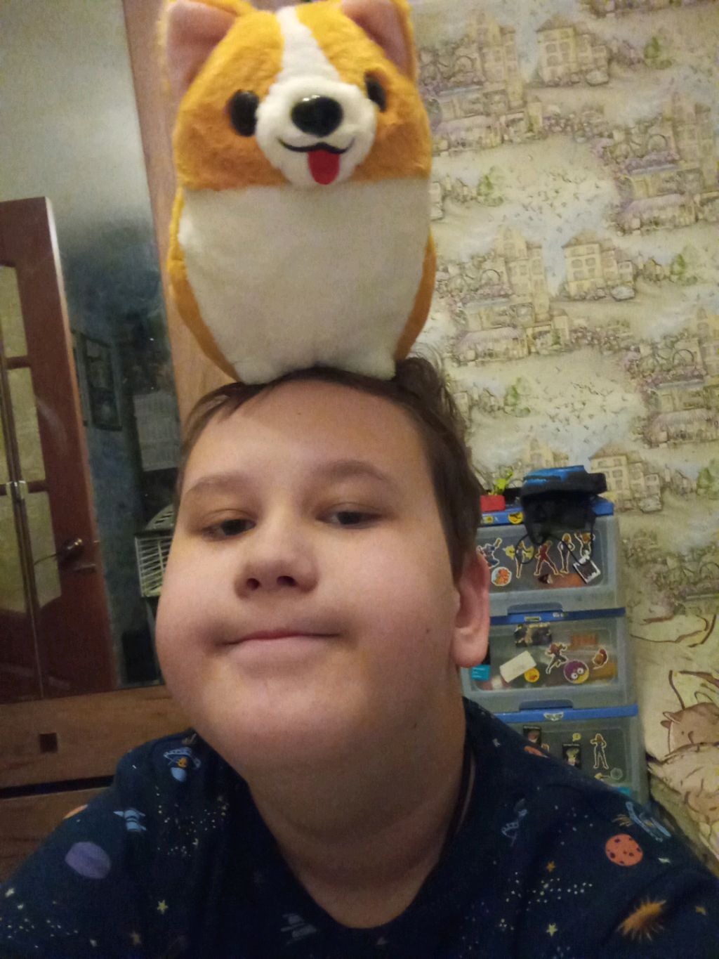 мой новый питомец сидит у меня на голове