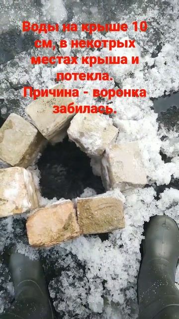 29 января 2022 г. смотреть онлайн