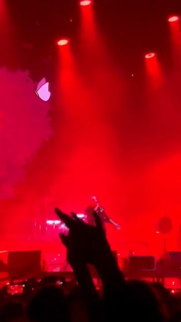 pyrokinesis - аморе аморе (Москва, Adrenaline Stadium, 17.12.2022) смотреть онлайн