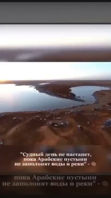 Сады в пустыне Признаки судного дня смотреть онлайн