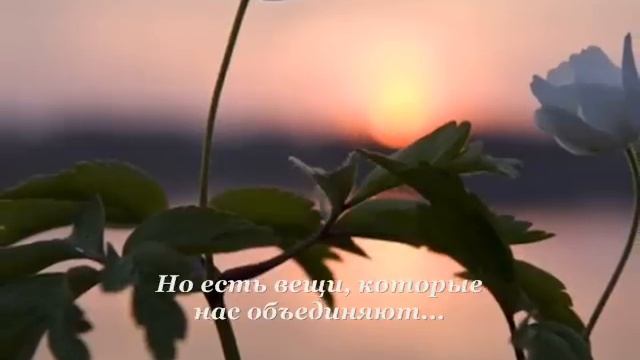 Счастье в этом мире для каждого свое...wmv смотреть онлайн