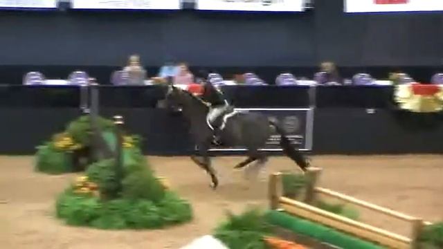 Video of CHA CHA riden by AMBER HENTER from ShowNet! смотреть онлайн