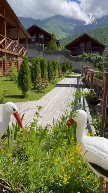 chill village fiagdon смотреть онлайн