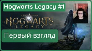 ♂️#1  | Игорь потов - начало. Первый взгляд  | Hogwarts Legacy - прохождение