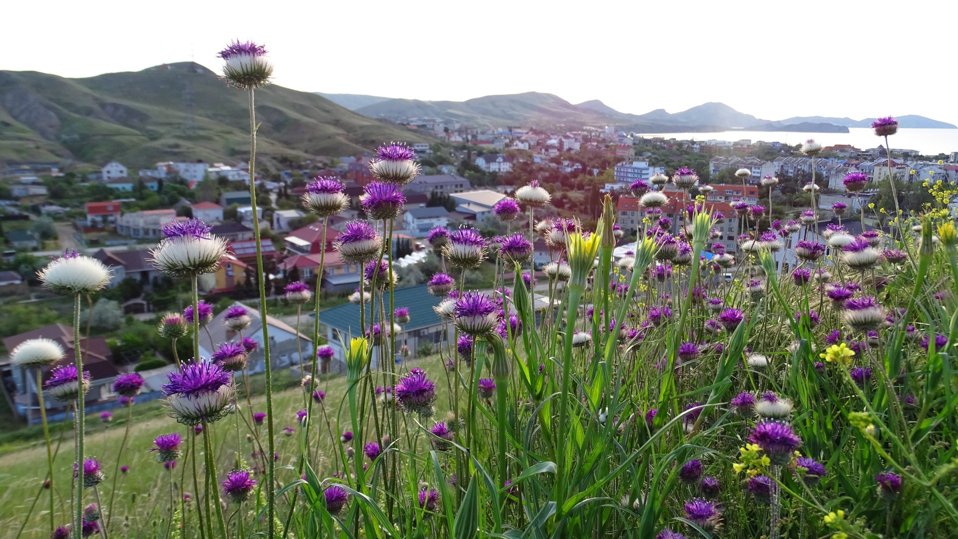 Весенний Коктебель 6 утра. смотреть онлайн