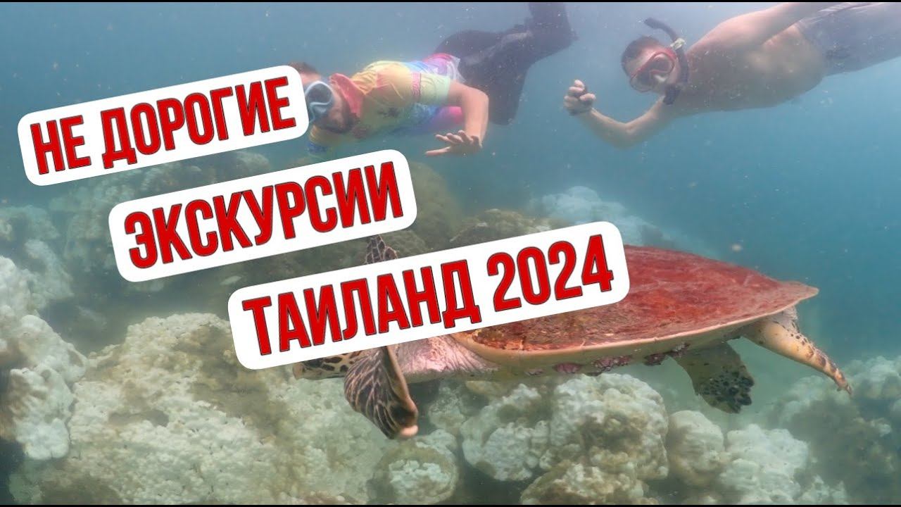 Недорогой Отдых в Паттае Таиланд 2024 смотреть онлайн