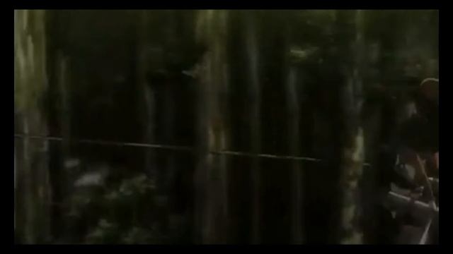 Attack On Titan AMV  -  Armata Strigoi