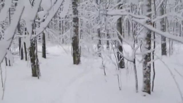 Минута зимнего леса. смотреть онлайн