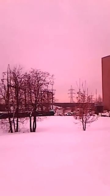 Москва.Гольяново.Лес.Moscow.Golyanovo.Wood. смотреть онлайн
