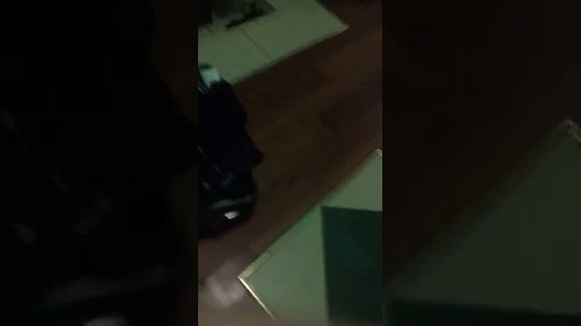 16 Маша Трактор смотреть онлайн