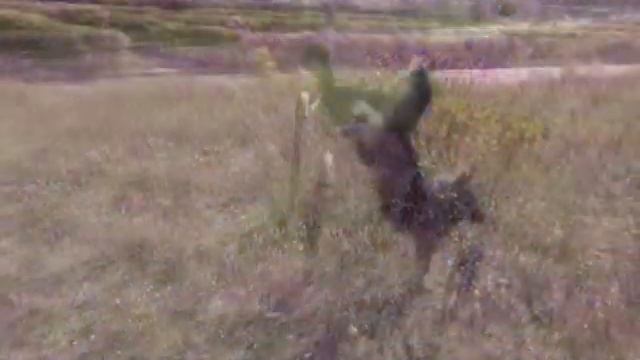 TreT-Style.StaS (Work) смотреть онлайн